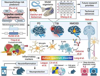 Editorial: Neuroinflammation, neurodegeneration and metabolic disease: from molecular mechanisms to therapeutic innovation